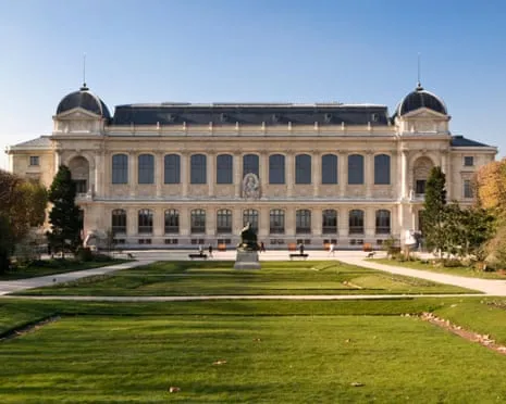 Historic Gold Specimens Taken in Audacious Robbery at France's National Museum