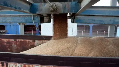 The nation Confronts Worst Drought in Years, Driving Countless People To the Verge