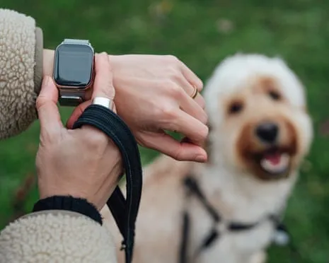 The Honest Scoop Concerning Fitness Trackers? Life Improves Lacking a Nagging Device on Your Arm